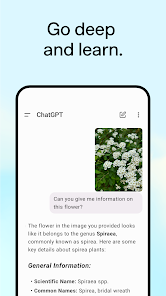 ChatGPT_screenshot_4