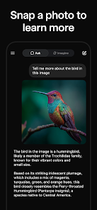 Grok_screenshot_4