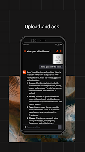 Le_Chat_by_Mistral_AI_screenshot_4