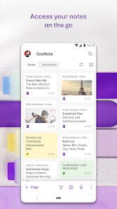 Microsoft_OneNote_screenshot
